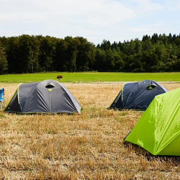 2023